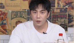 爆料龙虾直播间视频播放,龙虾直播间火爆背后的视频播放秘密